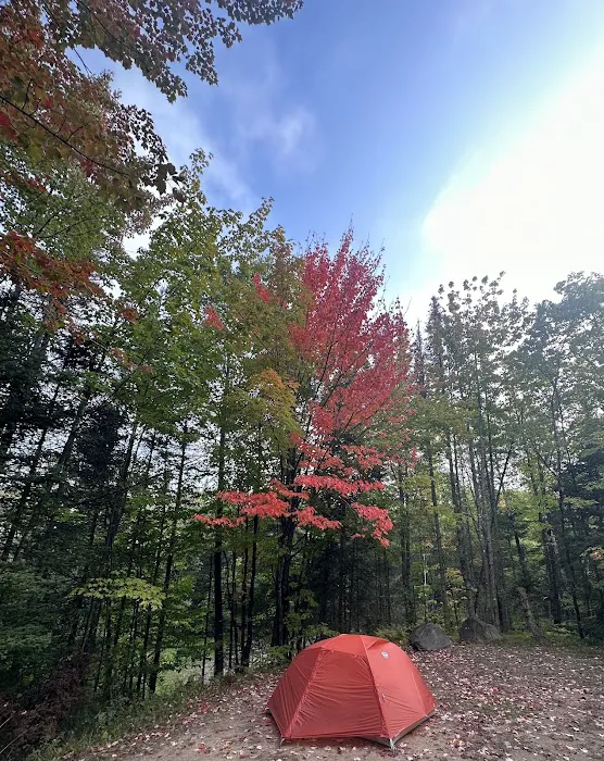 King Lake State Forest Campground 1