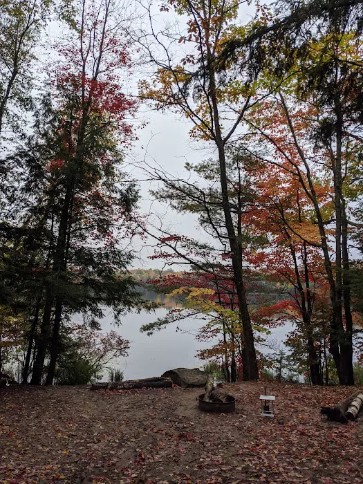 Bose Lake Campsite 4