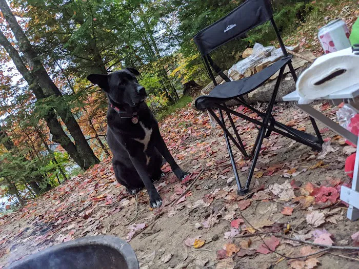 Bose Lake Campsite 7