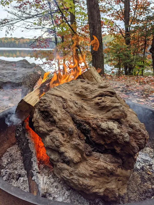 Bose Lake Campsite 8