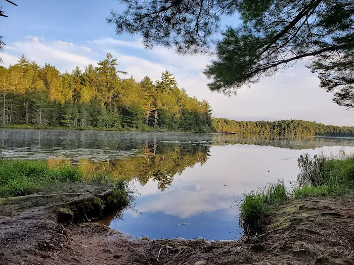 McKinley Lake Campsite 1
