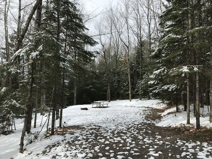 Franklin Lake Campground 3