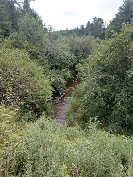 Deerskin River Campsite 0