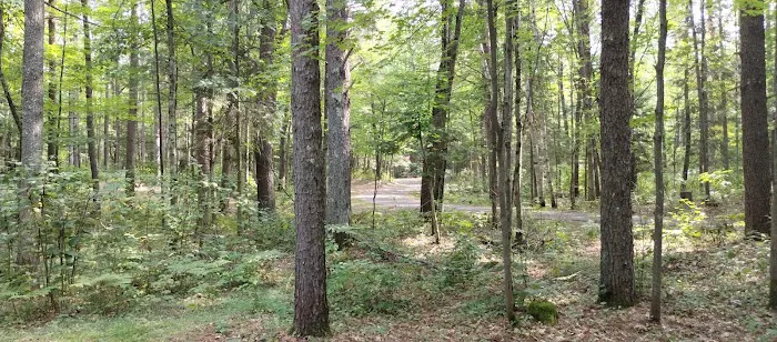 Lac Vieux Desert Campground 0