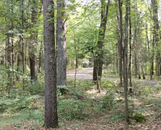 Lac Vieux Desert Campground
