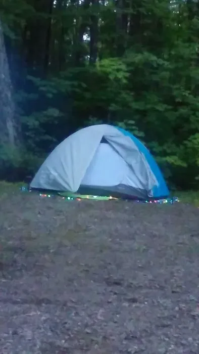 Anvil Lake Campground 1