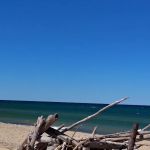 Shivering Timbers family camp