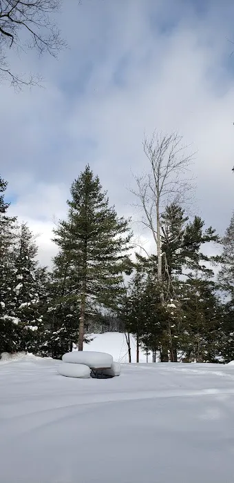 Emily Lake State Forest Campground 5