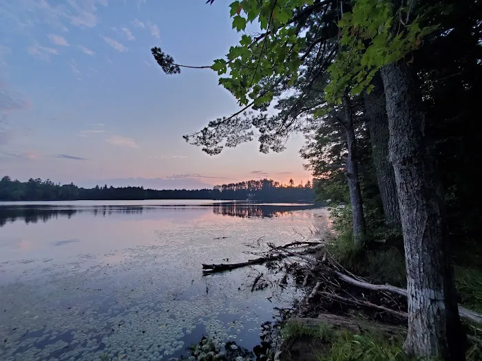 Emily Lake State Forest Campground 1