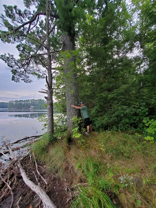 Emily Lake State Forest Campground 4