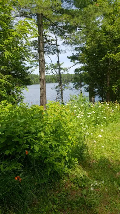 Emily Lake State Forest Campground 9