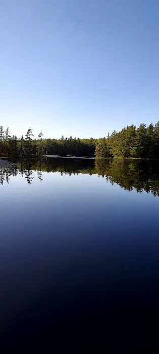 Emily Lake State Forest Campground 0
