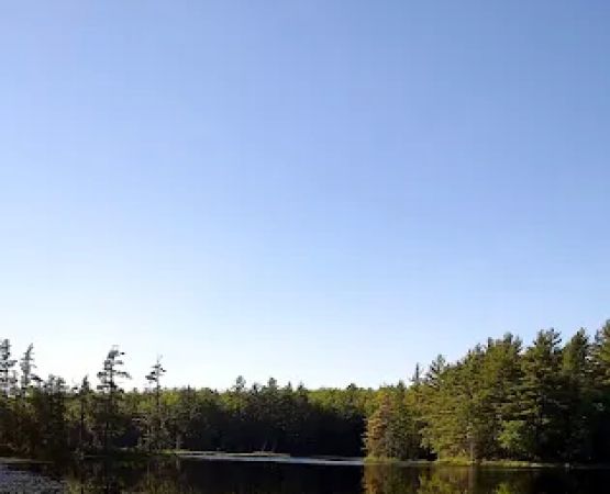 Emily Lake State Forest Campground