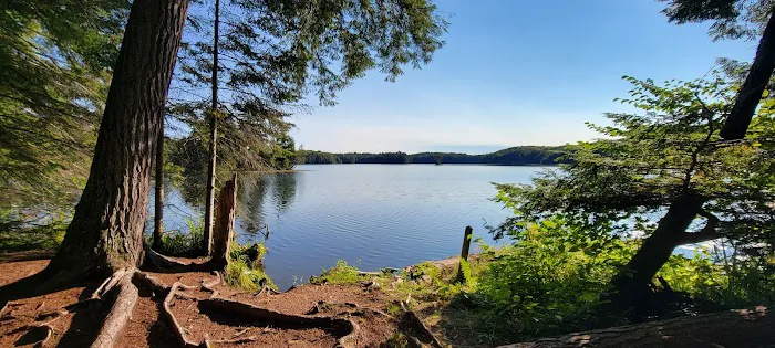 Porcupine Campground 2 0