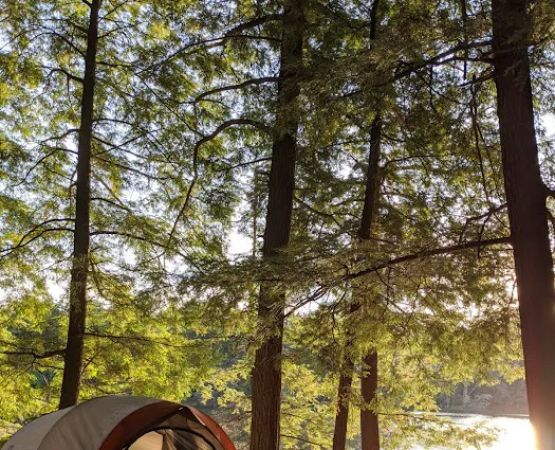 Mink Campground