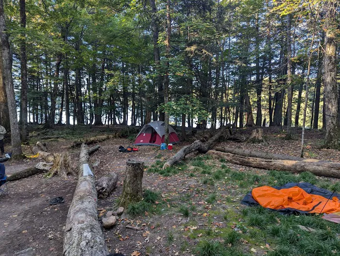 Mink Campground 4
