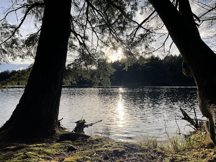 Mink Campground 2