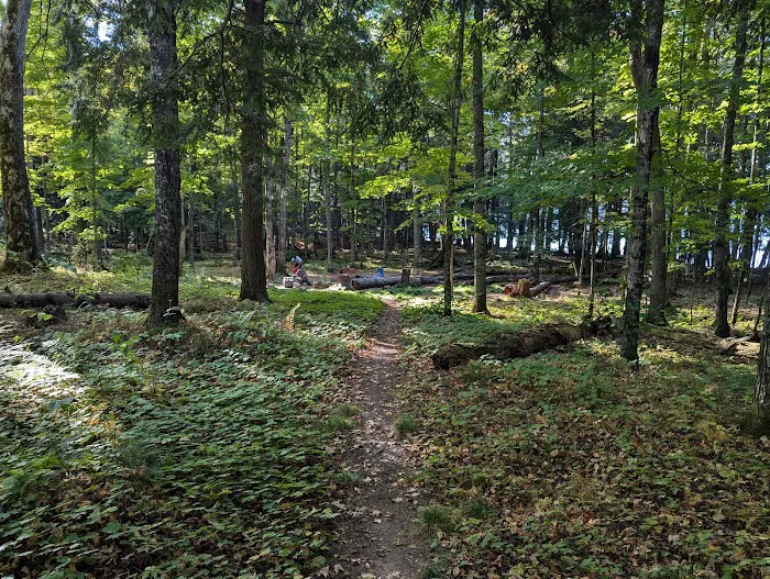Mink Campground 5