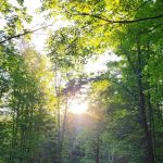 Sturgeon River Campground