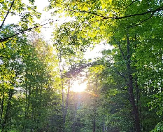 Sturgeon River Campground