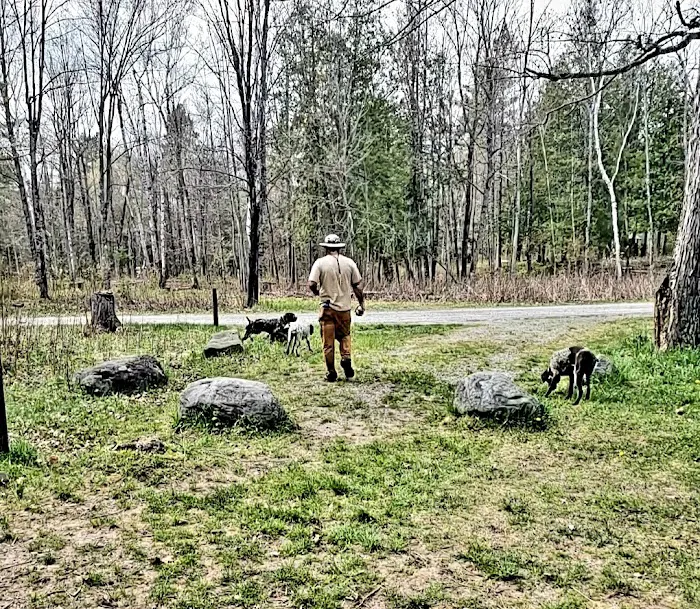 Sturgeon River Campground 6