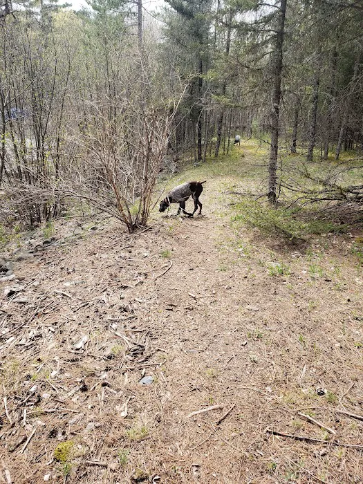 Sturgeon River Campground 9