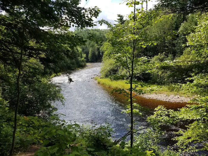 Sturgeon River Campground 4