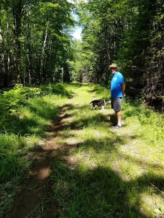 Sturgeon River Campground 5