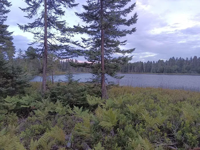 Big Lake State Forest Campground 7