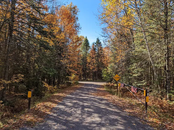 Bobcat Lake Campground 6
