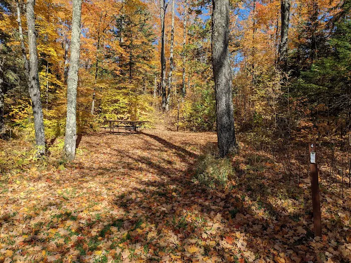 Bobcat Lake Campground 8