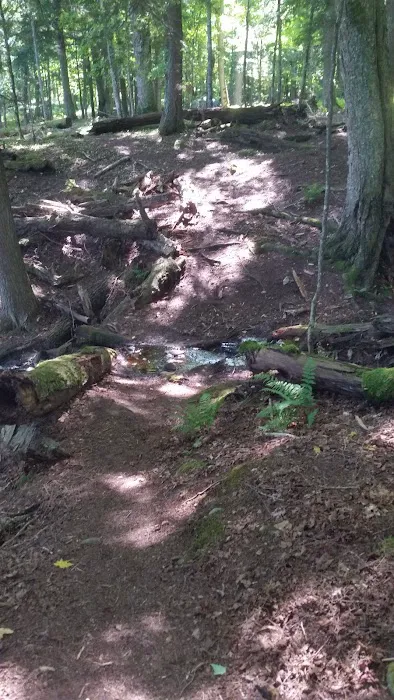 Balsam Campground 6