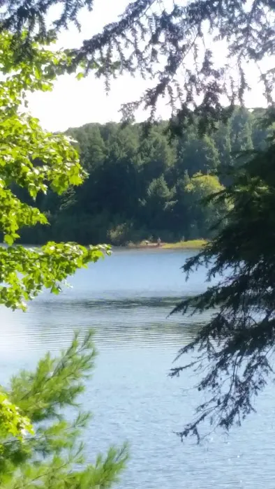 Balsam Campground 0