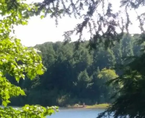 Balsam Campground