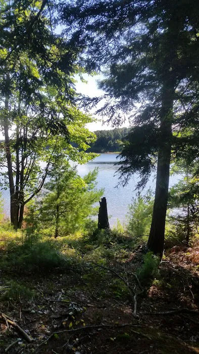 Balsam Campground 4