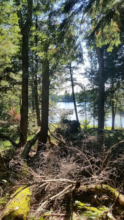 Balsam Campground 1