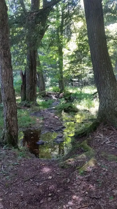 Balsam Campground 3