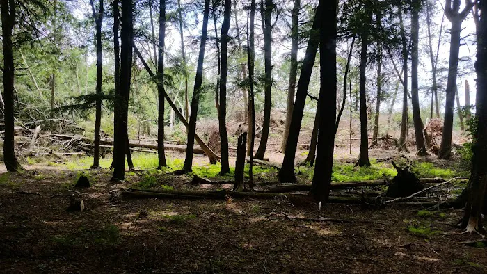 Balsam Campground 8