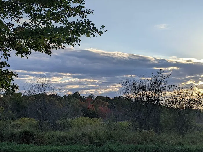 River Road RV Park and Campground 5