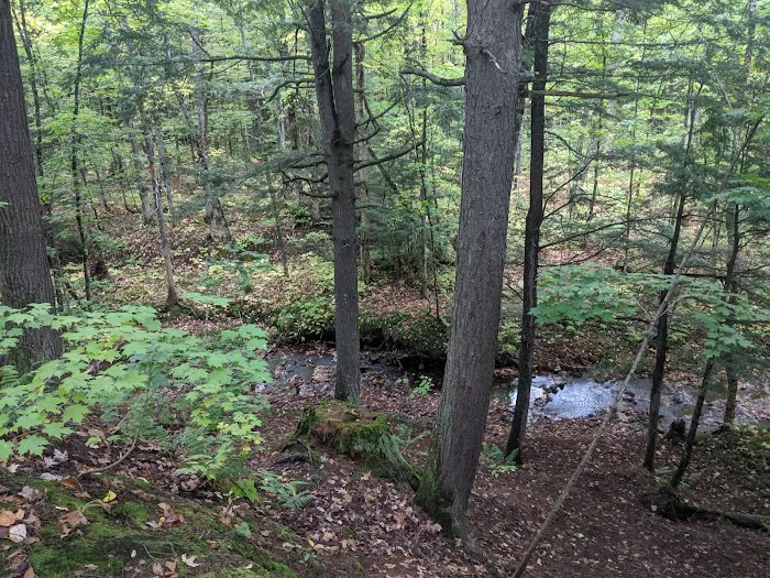 Lost Creek Outpost Campground 6