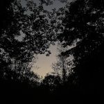 White Pine Extension Outpost