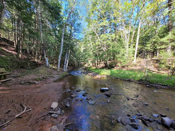 Union River Outpost Campground 9