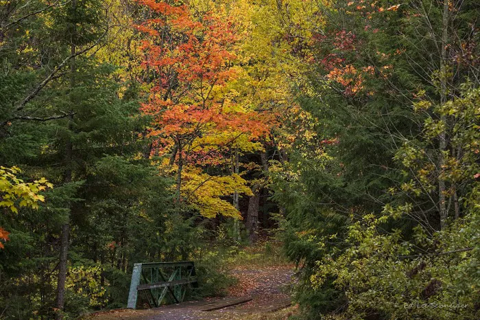 Union River Outpost Campground 1