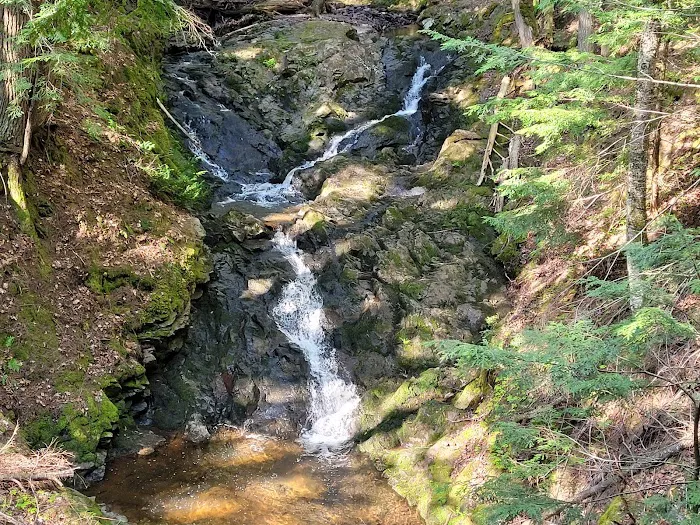 Union River Outpost Campground 4