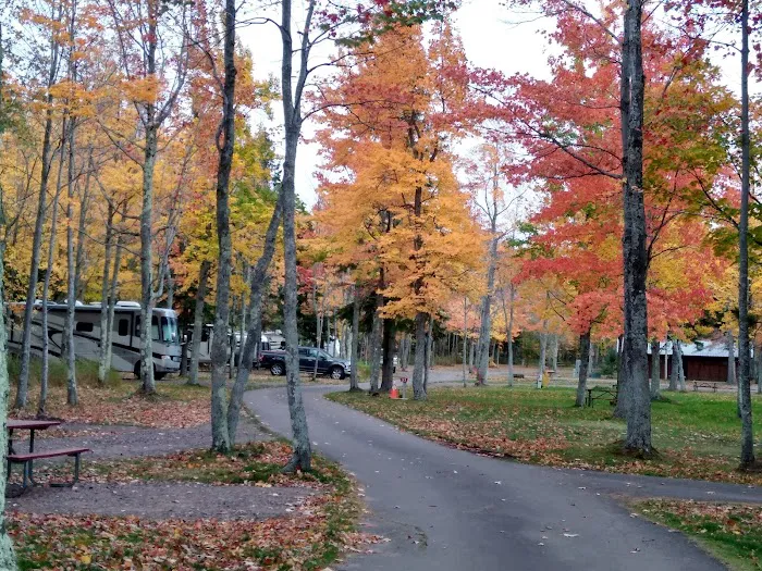 Union River 'Big Bear' Campground 4