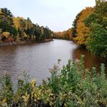 Union River 'Big Bear' Campground