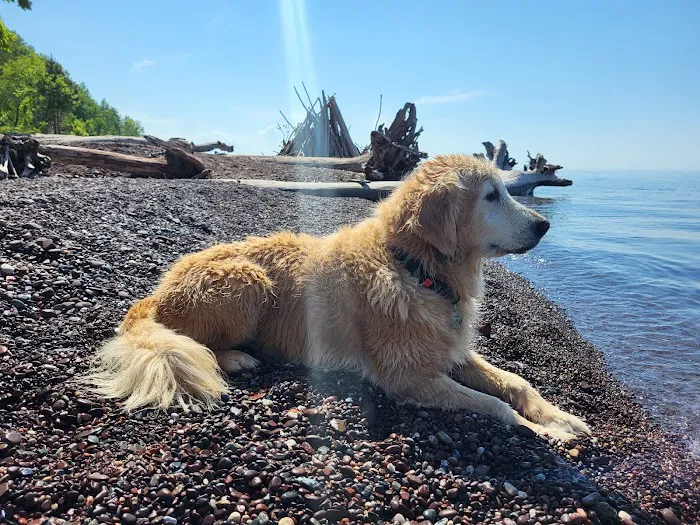 Union Bay Campground 3