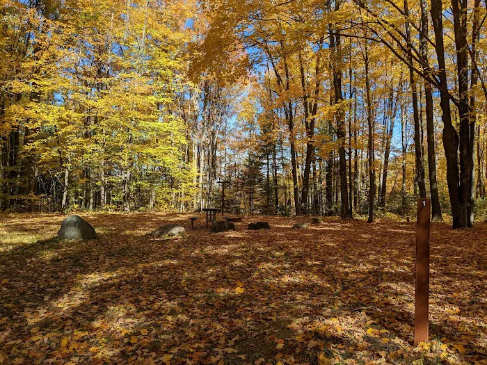 Moosehead Lake Campground 6