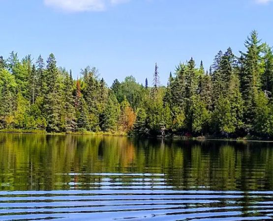 Henry Lake Campground