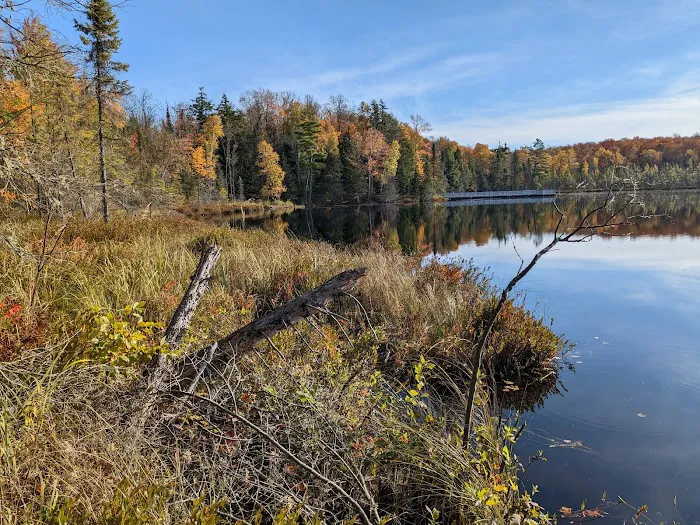 Henry Lake Campground 8